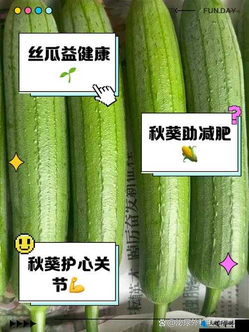 丝瓜和绿巨人蕾丝秋葵：天然植物的营养奥秘