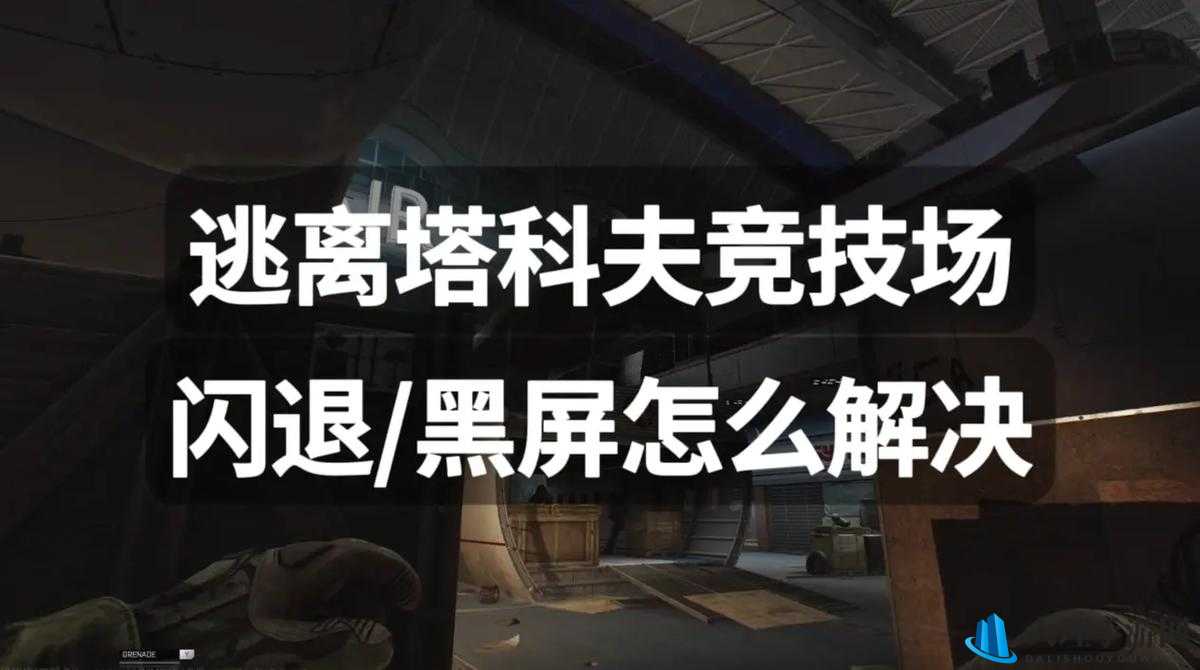 逃生2游戏黑屏问题全解析及解决方法